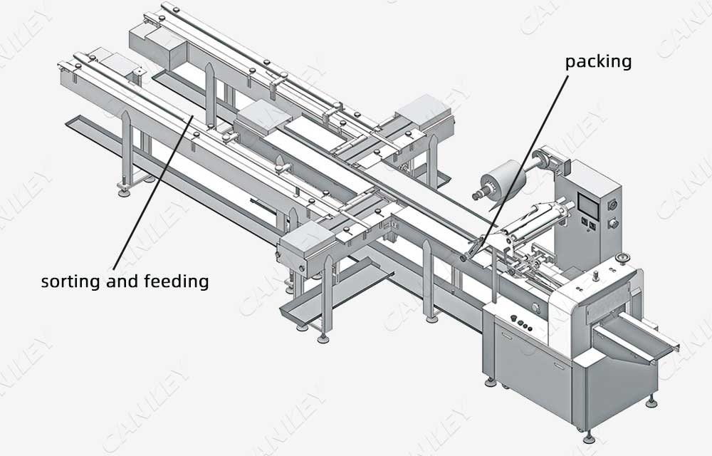 wafer roll packing machine