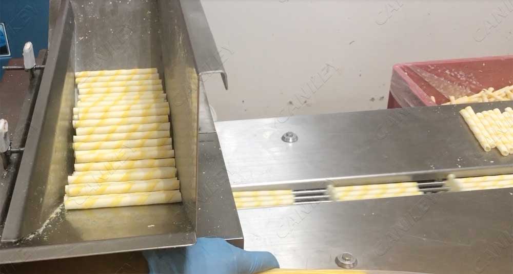 Wafer roll packing factory