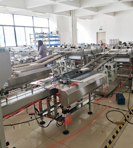 flow wrap machine factory